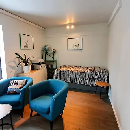 Modern And Spacious House In Seltjarnarnes. Villa Reykjavik